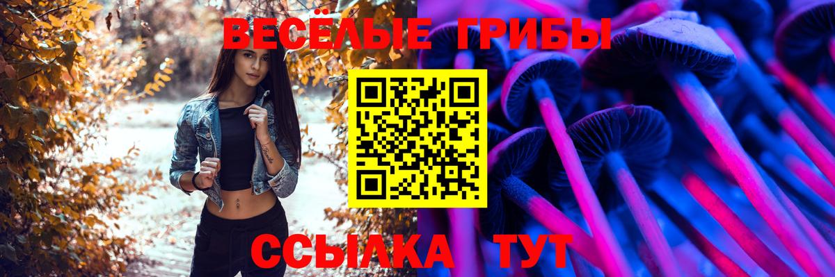 Галлюциногенные грибы Psilocybe  Вход с VPN  Псилоцибиновые грибы мицелий  Набережные Челны 